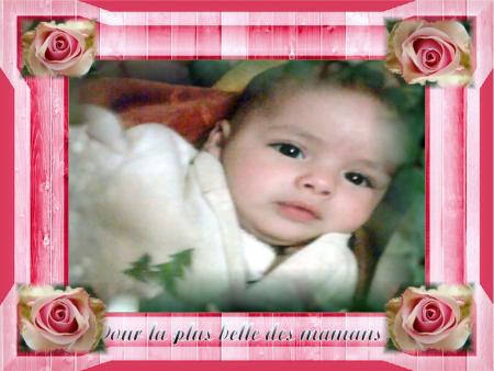  ���� ��� ������ �� ���� ����� �� �����